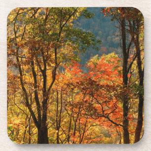 USA, Tennessee. Fallfolien Getränkeuntersetzer