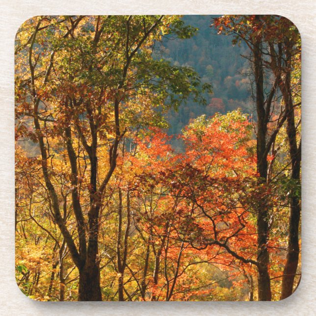 USA, Tennessee. Fallfolien Getränkeuntersetzer (Vorderseite)