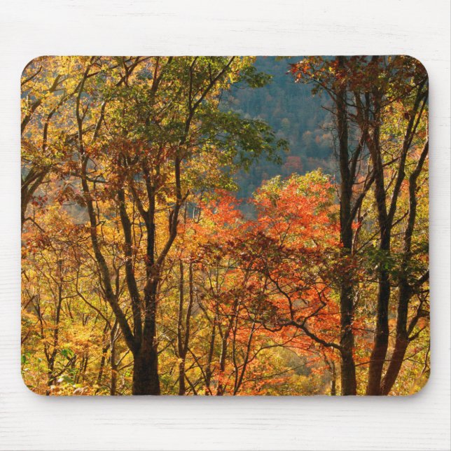 USA, Tennessee. Fallfolien Mousepad (Vorne)