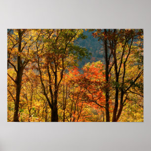 USA, Tennessee. Fallfolien Poster