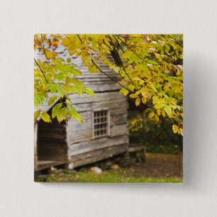 USA, Tennessee, Gatlinburg. Great Smoky Button