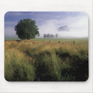 USA, Tennessee, Great Smokey Mountains Mousepad
