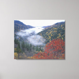 USA, Tennessee, Great Smokey Mountains National Leinwanddruck