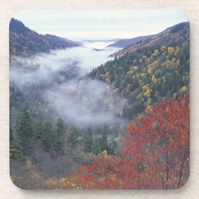 USA, Tennessee, Great Smokey Mountains National Untersetzer (Vorderseite)