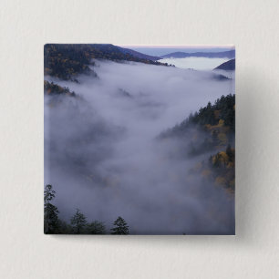 USA, Tennessee. Great Smokey Mountains Nationalpar Button