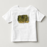 USA, Tennessee, Great Smoky Mountains National 2