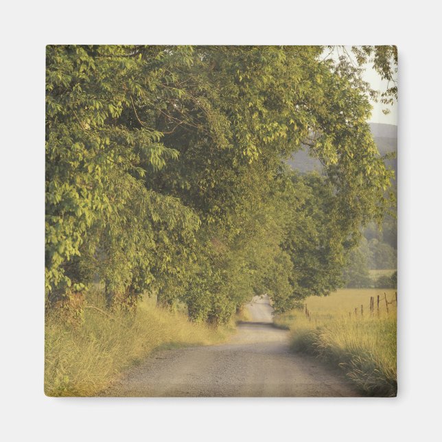 USA, Tennessee, Great Smoky Mountains National 2 Magnet (Vorne)