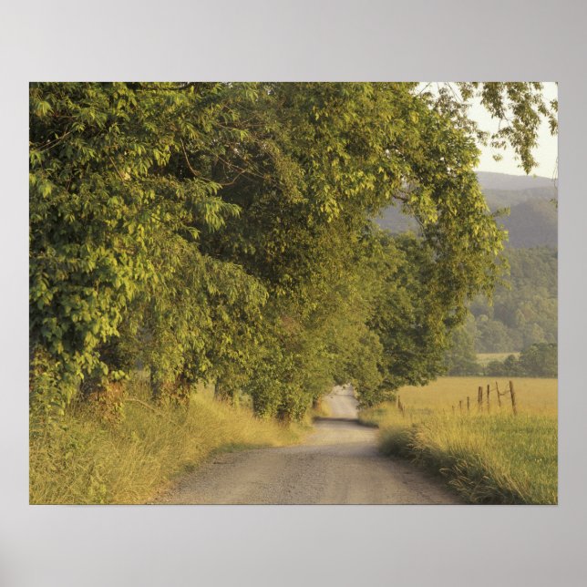 USA, Tennessee, Great Smoky Mountains National 2 Poster (Vorne)