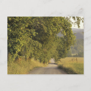 USA, Tennessee, Great Smoky Mountains National 2 Postkarte
