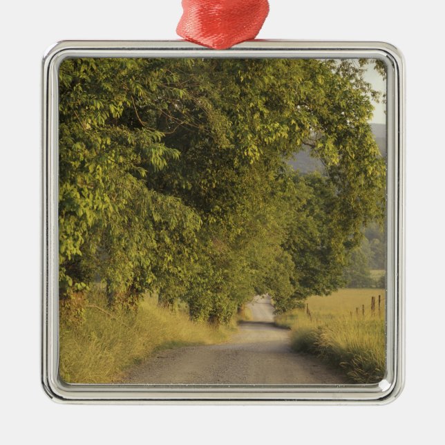 USA, Tennessee, Great Smoky Mountains National 2 Silbernes Ornament (Vorne)