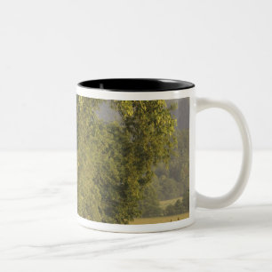 USA, Tennessee, Great Smoky Mountains National 2 Zweifarbige Tasse