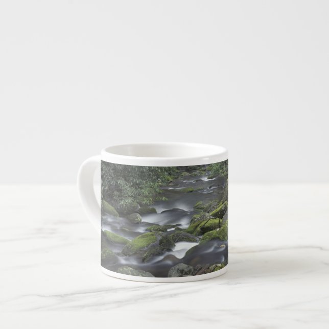 USA, Tennessee, Great Smoky Mountains National 3 Espressotasse (Vorderseite Links)