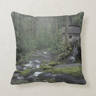 USA, Tennessee, Great Smoky Mountains National 3 Kissen