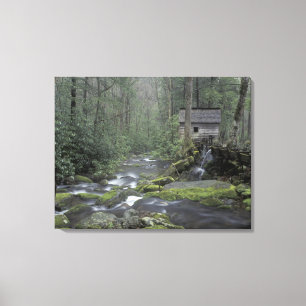 USA, Tennessee, Great Smoky Mountains National 3 Leinwanddruck