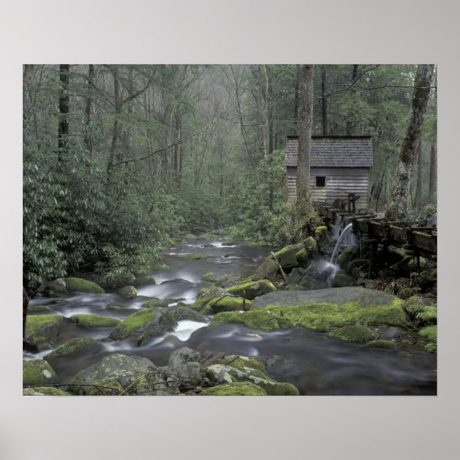 USA, Tennessee, Great Smoky Mountains National 3 Poster (Vorne)