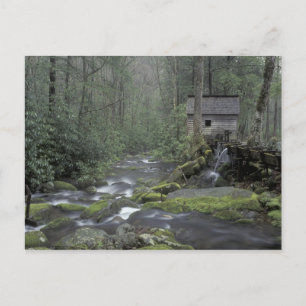 USA, Tennessee, Great Smoky Mountains National 3 Postkarte
