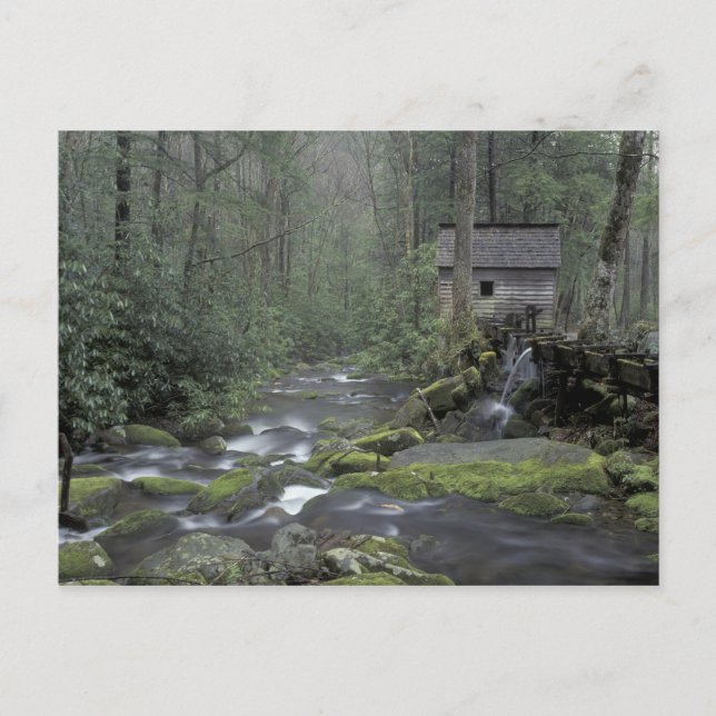 USA, Tennessee, Great Smoky Mountains National 3 Postkarte (Vorderseite)