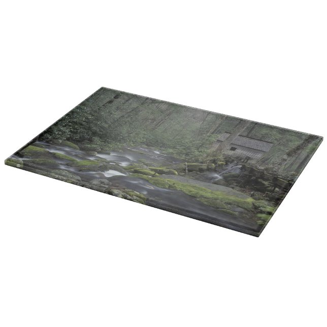 USA, Tennessee, Great Smoky Mountains National 3 Schneidebrett (Ecke)