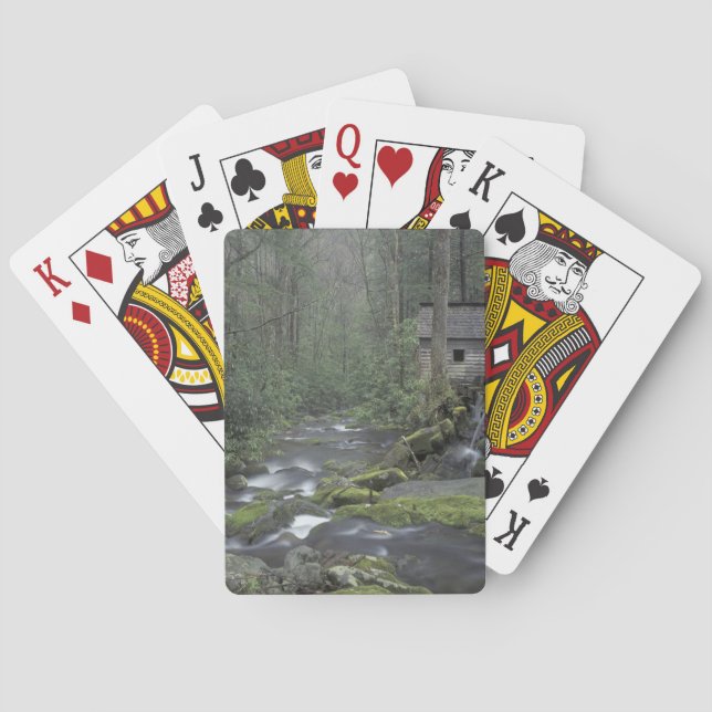 USA, Tennessee, Great Smoky Mountains National 3 Spielkarten (Rückseite)