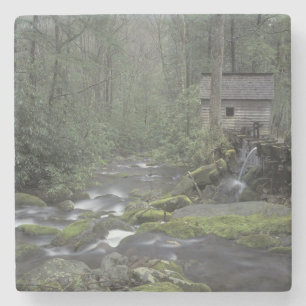 USA, Tennessee, Great Smoky Mountains National 3 Steinuntersetzer