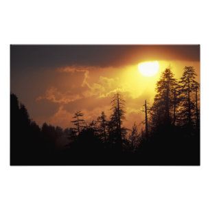 USA, Tennessee, Great Smoky Mountains NP 2 Fotodruck