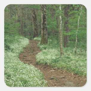 USA, Tennessee, Great Smoky Mountains NP, 3 Quadratischer Aufkleber