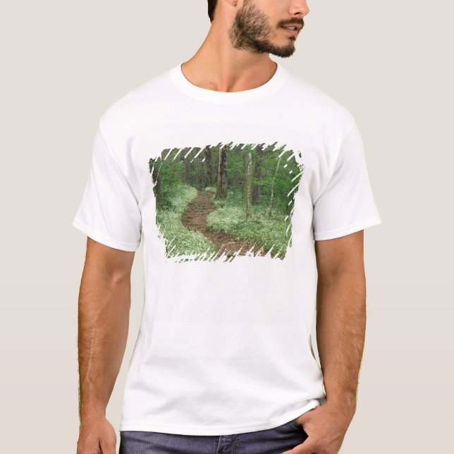 USA, Tennessee, Great Smoky Mountains NP, 3 T-Shirt (Vorderseite)