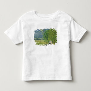 USA, Tennessee, Great Smoky Mountains NP, Kleinkind T-shirt