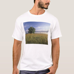 USA, Tennessee. Große Smokey-Berge T-Shirt