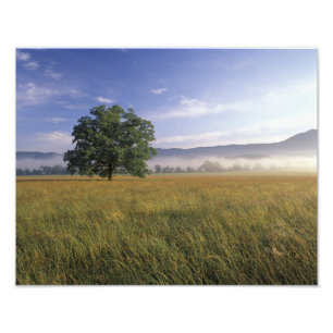 USA, Tennessee. Große Smokey Mountains 2 Fotodruck