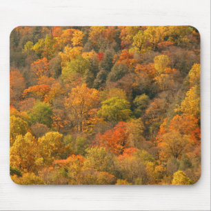USA, Tennessee. Herbstlaub 2 Mousepad