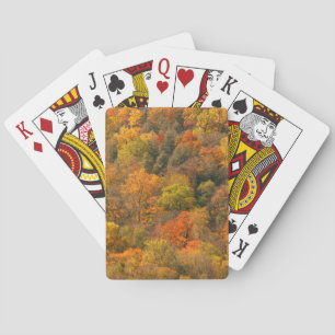 USA, Tennessee. Herbstlaub 2 Spielkarten
