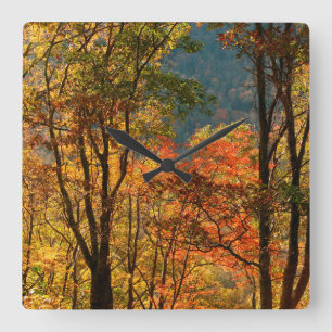 USA, Tennessee. Herbstlaubfärbung Quadratische Wanduhr