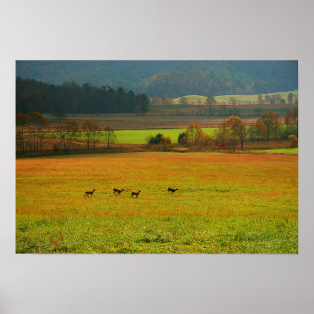 USA, Tennessee. Höhlenberge 2 Poster (Vorne)
