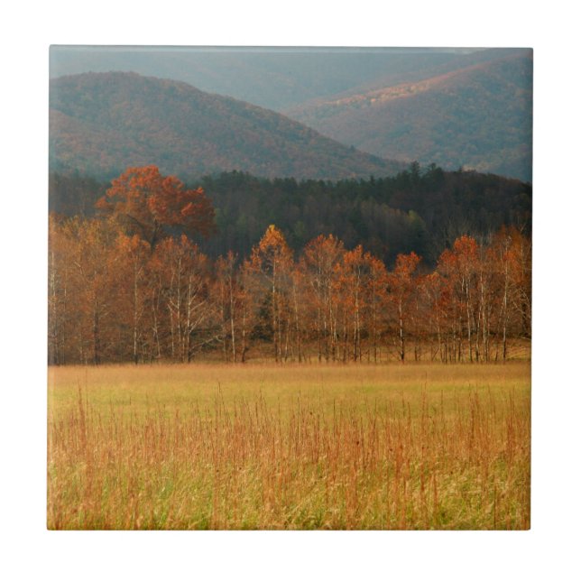USA, Tennessee. Höhlenberge in Smoky Fliese (Vorderseite)