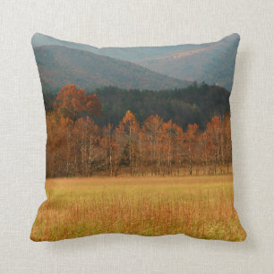 USA, Tennessee. Höhlenberge in Smoky Kissen