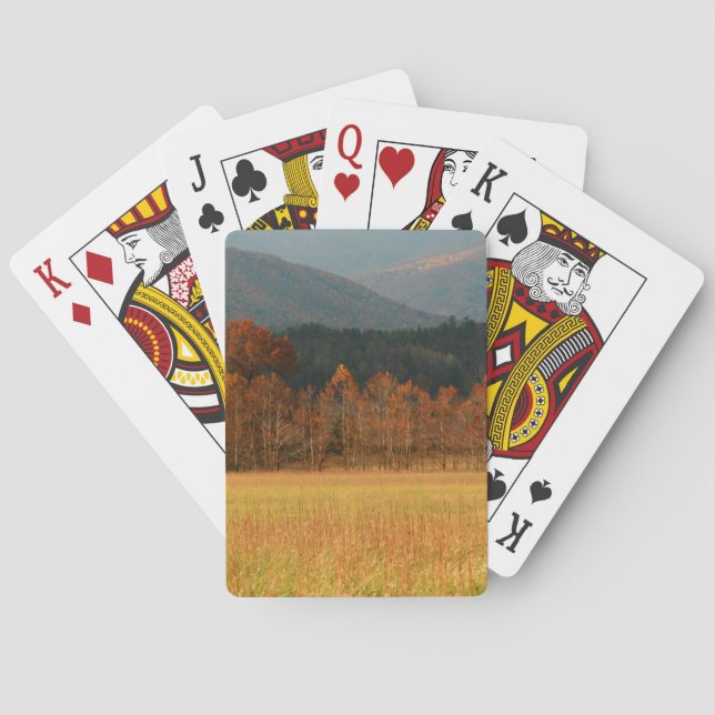 USA, Tennessee. Höhlenberge in Smoky Spielkarten (Rückseite)