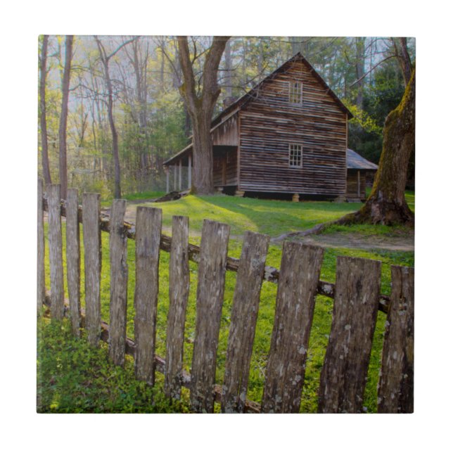 USA, Tennessee, Kabine in Cades Cove Fliese (Vorderseite)