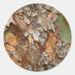 USA, Tennessee, Nah von Rinde auf einem Baum Runder Aufkleber