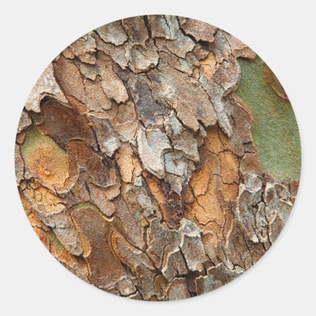 USA, Tennessee, Nah von Rinde auf einem Baum Runder Aufkleber (Vorderseite)