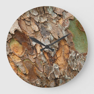 USA, Tennessee, Naher Bachstand auf einem Baum Große Wanduhr