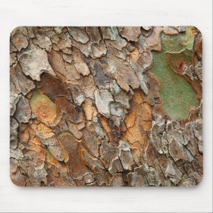 USA, Tennessee, Naher Bachstand auf einem Baum Mousepad