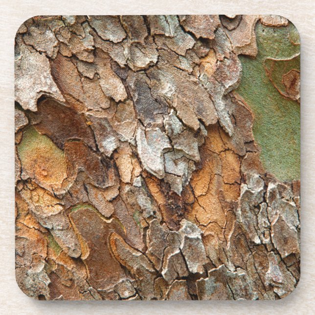 USA, Tennessee, Naher Bachstand auf einem Baum Untersetzer (Vorderseite)