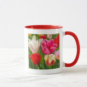 USA, Tennessee, Nashville Tasse