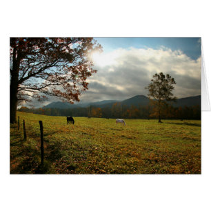USA, Tennessee. Pferde im Cades Cove Tal