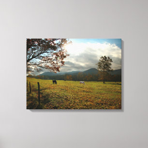 USA, Tennessee. Pferde im Cades Cove Tal Leinwanddruck