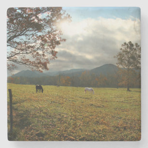 USA, Tennessee. Pferde im Cades Cove Tal Steinuntersetzer
