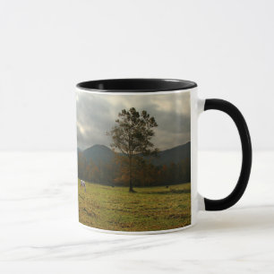 USA, Tennessee. Pferde im Cades Cove Tal Tasse