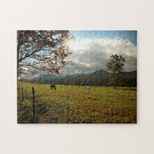 USA, Tennessee. Pferde im Cades Cove Valley