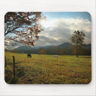 USA, Tennessee. Pferde im Höhlental Mousepad